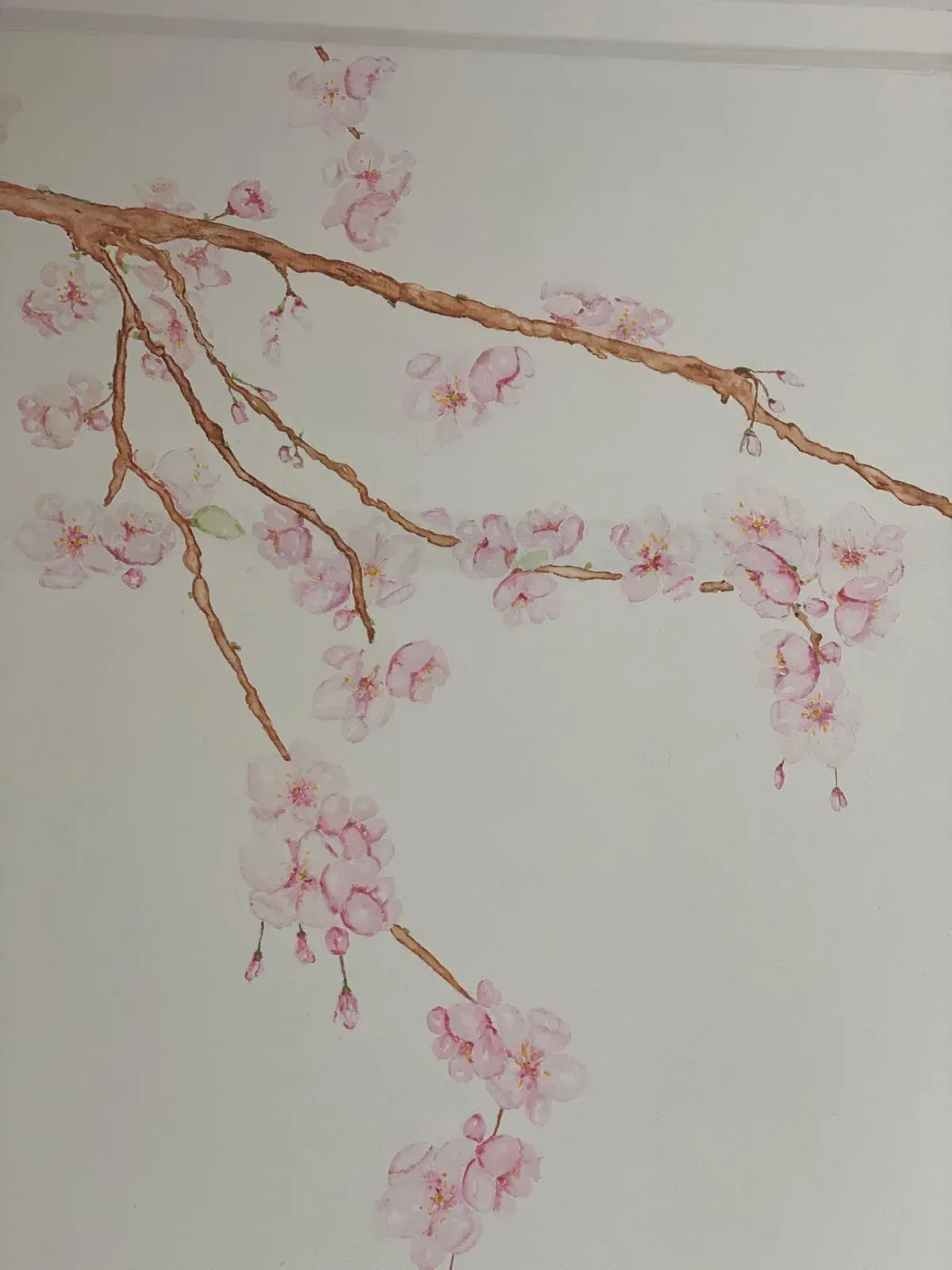 Branche de cerisier