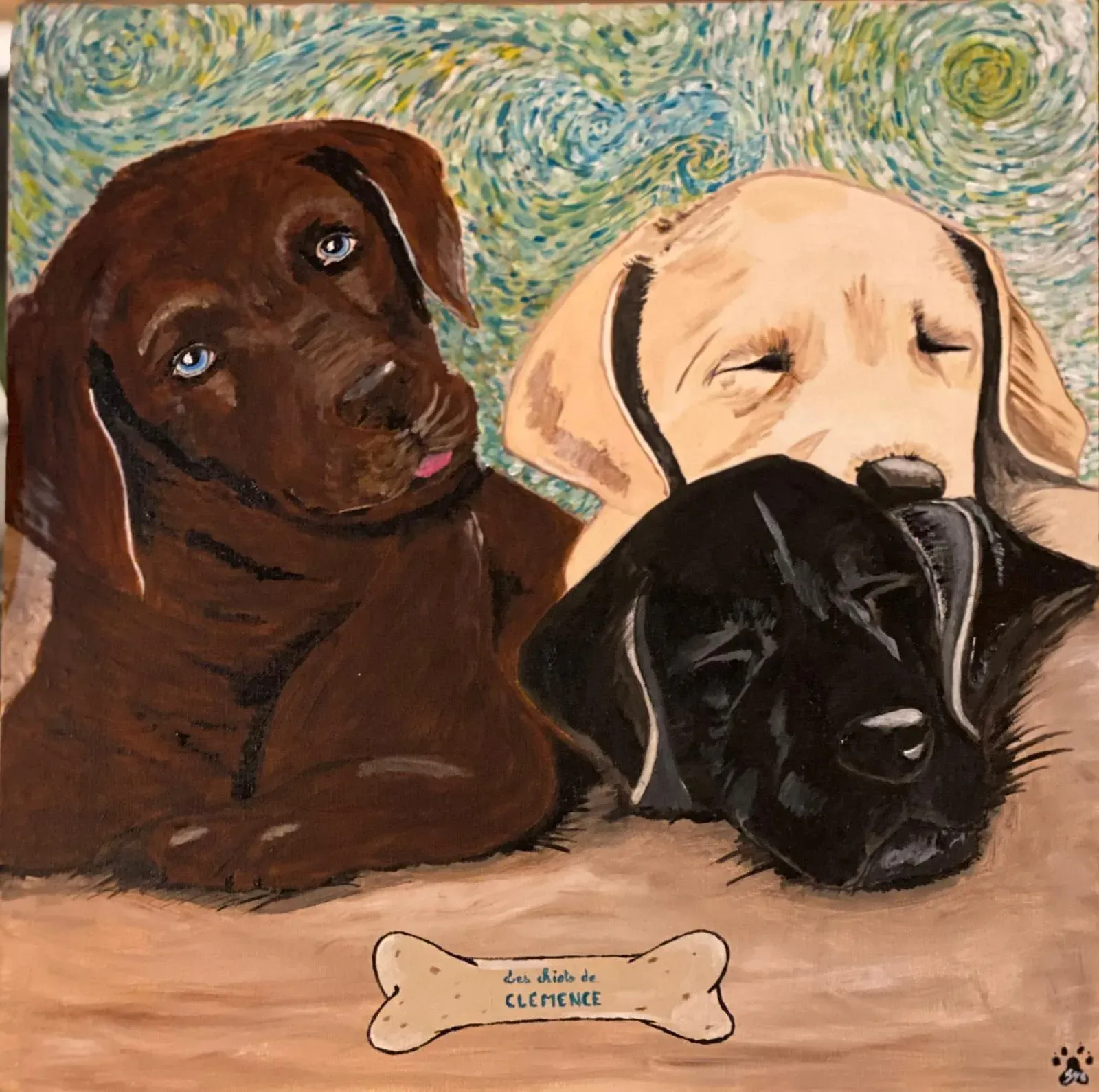 Portrait de labradors