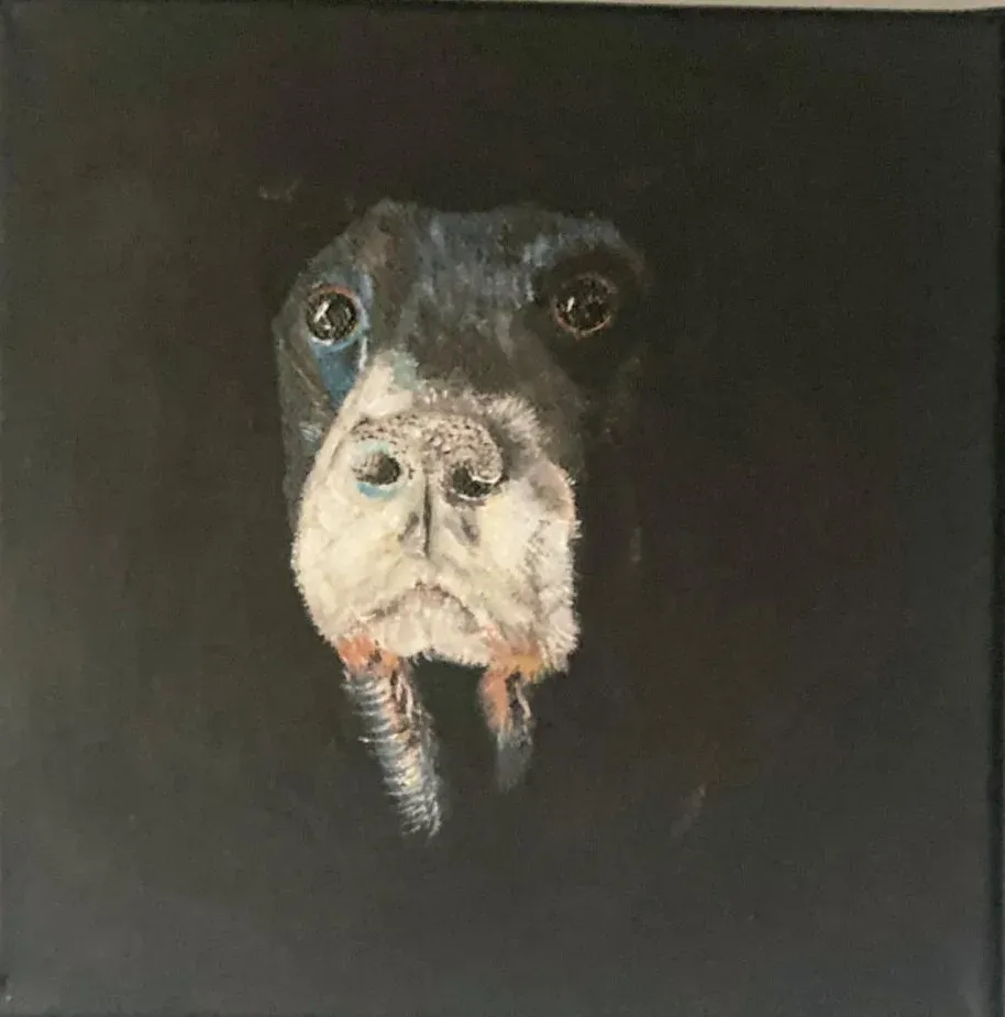 Gargouille, portrait de chien
